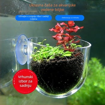 Čaša za akvaskaping za stolni akvarij
