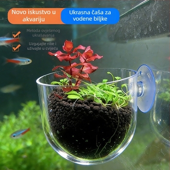 Čaša za akvaskaping za stolni akvarij