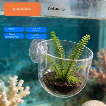 Čaša za akvaskaping za stolni akvarij