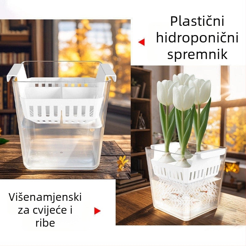 Hidroponska posuda s odjeljcima za tulipane i ljilane, prozirna i vidljiva, s plavim posudom za sadnju, prozračna, za kućnu upotrebu