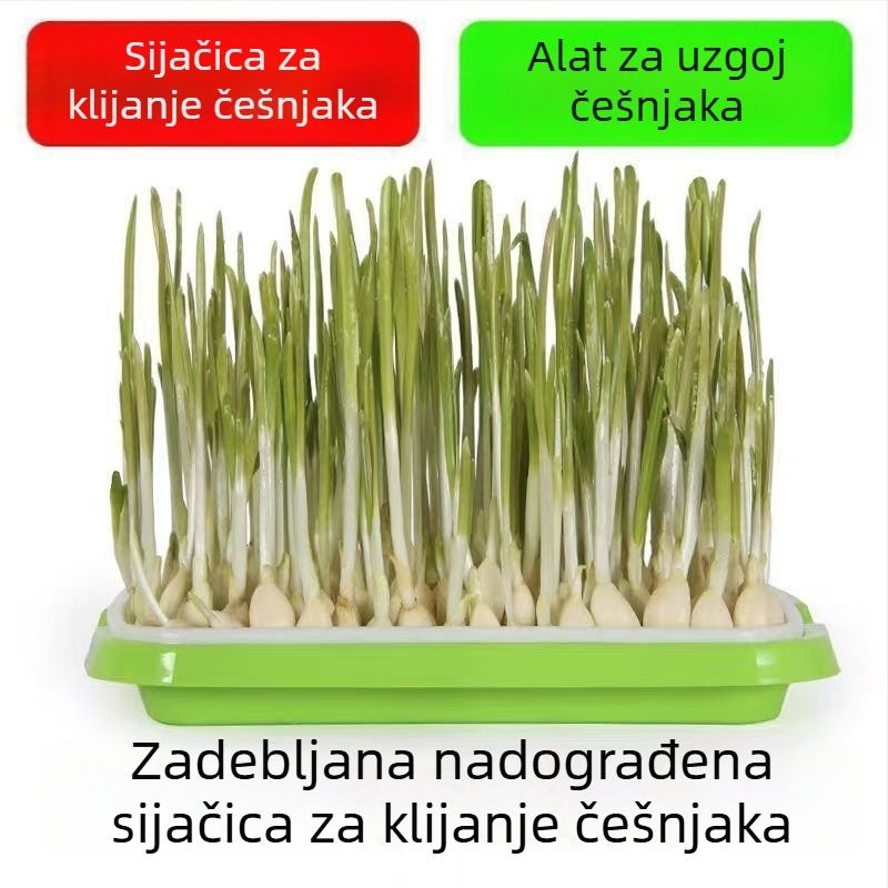 Balkonske posude za češnjak za hidroponski uzgoj