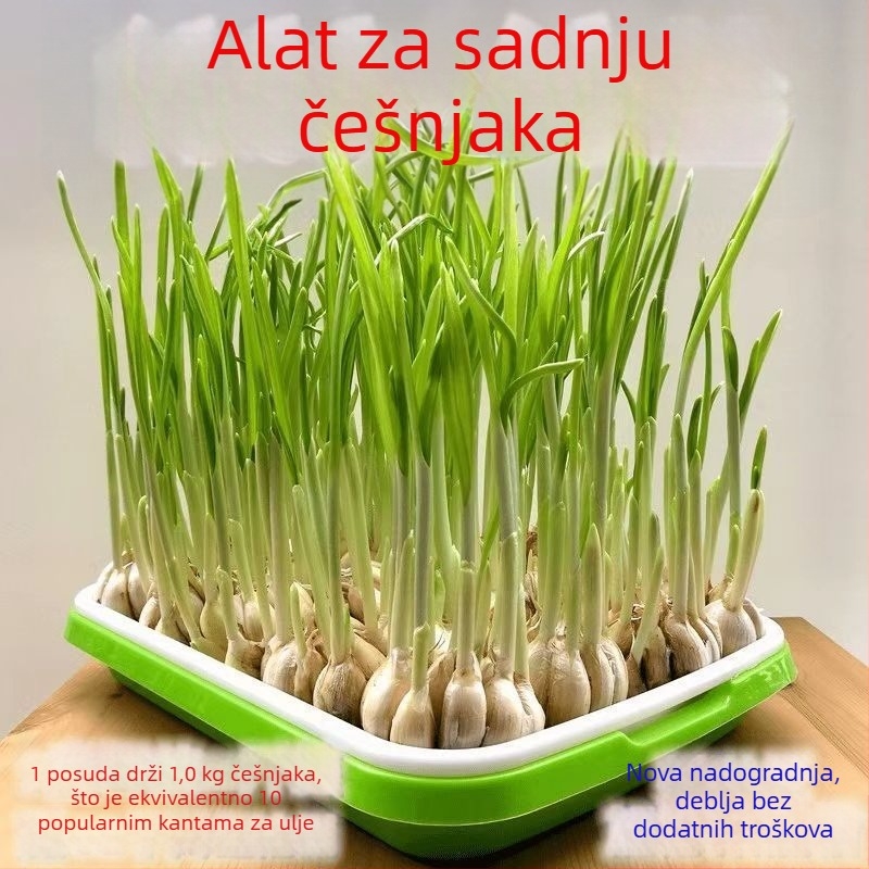 Balkonske posude za češnjak za hidroponski uzgoj