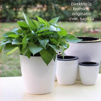 Samozalijev plastični lonac za pothos i sukulente, za unutarnju upotrebu, na stol ili na pod
