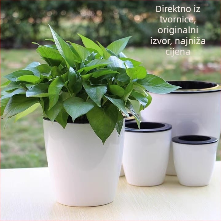 Samozalijev plastični lonac za pothos i sukulente, za unutarnju upotrebu, na stol ili na pod