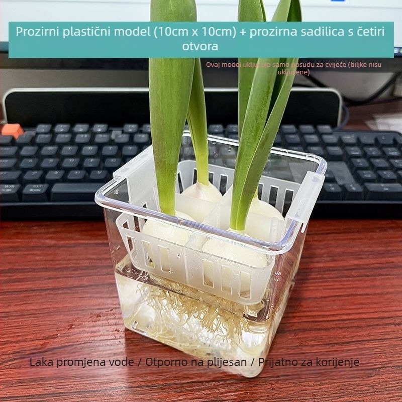 Prozirna staklena vaza za hidroponske tulipane s plastičnim košarom za sadnju