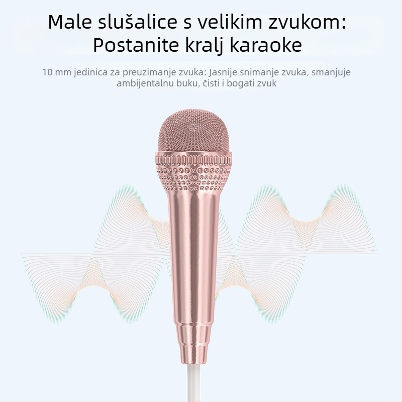 Karaoke zvučna kartica sa slušalicama, mikrofon sve-u-jednom za uživo pjevanje, monitoring i snimanje