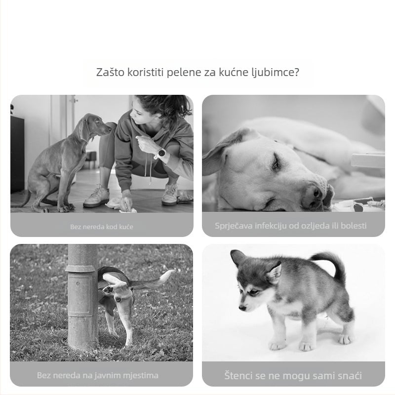 Prozračne pelene za pse za mužjake, brzo upijanje, otporne na curenje, higijenske hlačice za kućne ljubimce.