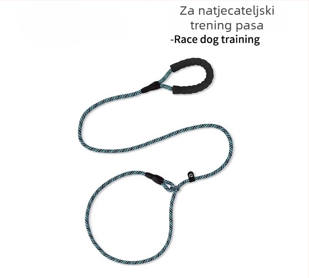 Vodič za trening psa i ovratnik za štence, za pse od malih do velikih pasmina — Border Collie, Golden Retriever, Corgi