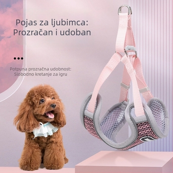 Set za šetnju kućnim ljubimcima: pojas i povodac za mačke i male pse, prijenosni set za šetnju