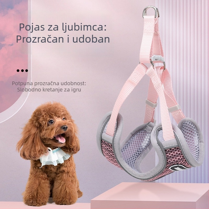 Set za šetnju kućnim ljubimcima: pojas i povodac za mačke i male pse, prijenosni set za šetnju