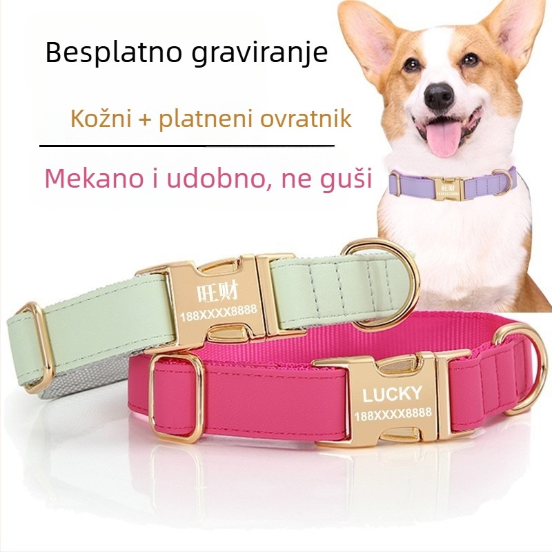 Međunarodna ogrlica za pse i mačke s laserski personaliziranom identifikacijskom značkom i zaštitom od gubitka