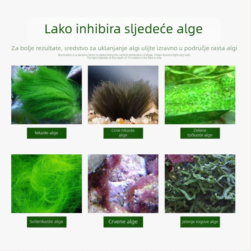 Uklanjivač alg i mahovine za akvarij – siguran za ribe, uklanja zelene i smeđe alge te crne dlakavice algi