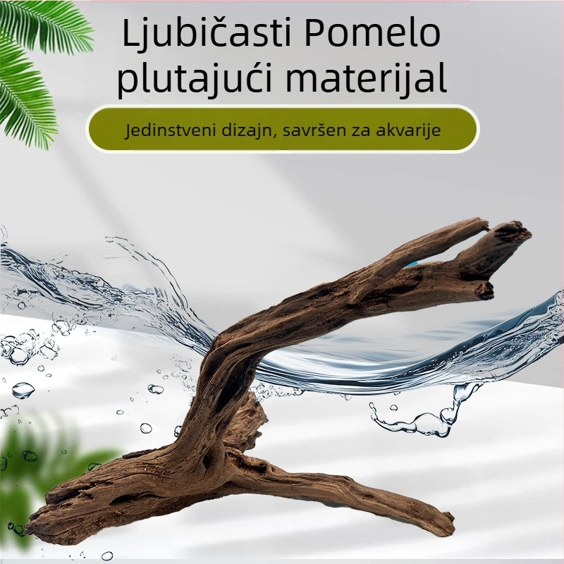 Dekor za akvarij: korijen od potopljenog drveta s grančicama