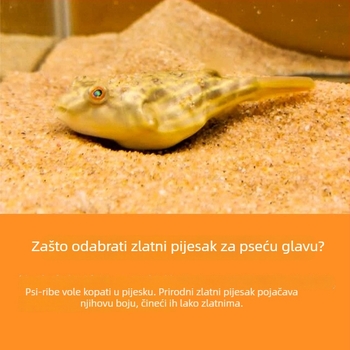 Zlatni pijesak-substrat za južnoameričke slatkovodne akvarije — fin pijesak rijeka za vodene biljke
