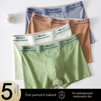 Muške pamučne bokserice s antibakterijskim grafenom, plus veličina, prozračne, srednji pojas