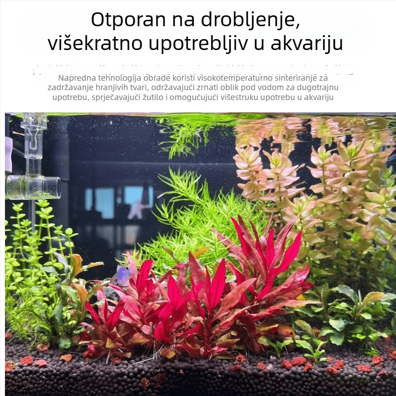 Podloga za akvarij: lava kamen, dno pijeska, gnojivo za biljke i filtracijski materijal za aquascaping