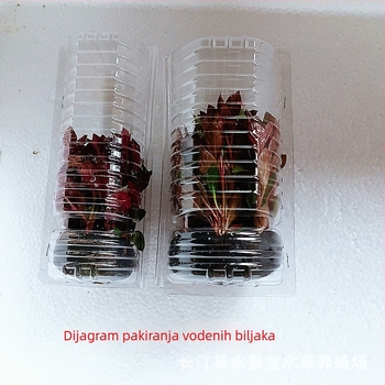 Kutija za pakiranje vodnih biljaka za uređenje akvarija i sigurn transport