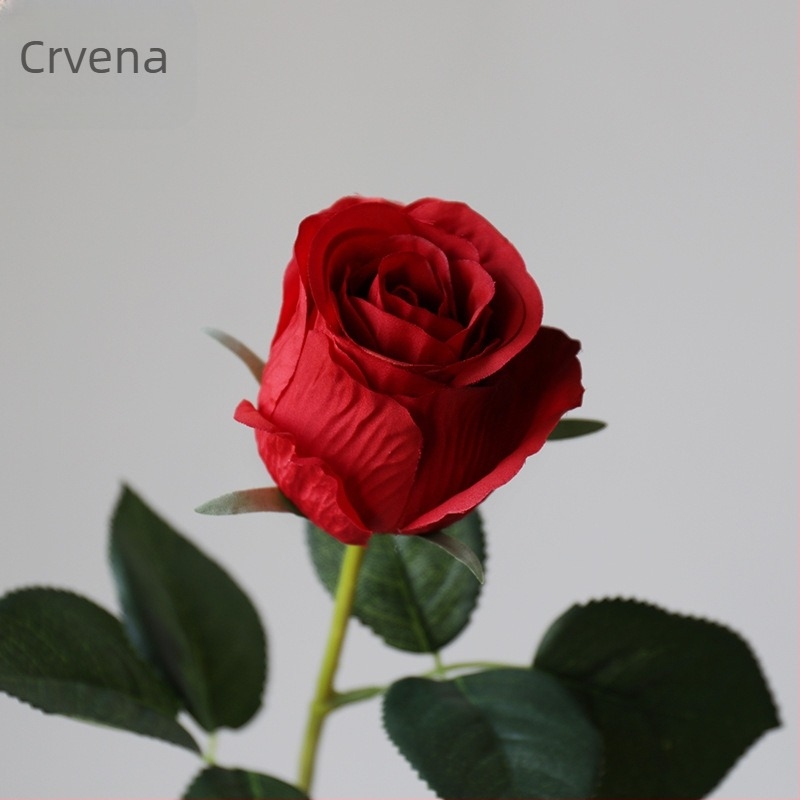 Umjetna ruža od svile, s jednim stabljikom, francuska ruža, za rekvizite za fotografiju i vjenčanu dekoraciju