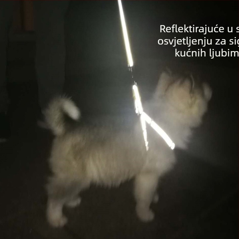 Reflektirajući podesivi pojas i povodac za pse — set za noćne šetnje