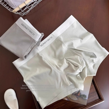 Premium muške bokserice s osvježavajućim Ice Silk osjećajem, prozračne i brzo sušeće, antibakterijski ulošak, jednobojne