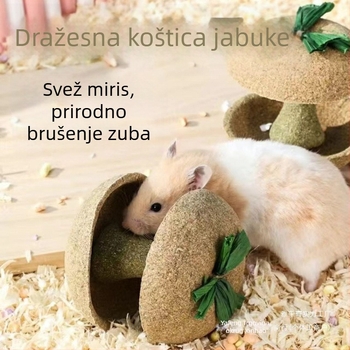 Žvačkalica od jezgre jabuke za hrčka – izdržljiva igračka i poslastica za male ljubimce