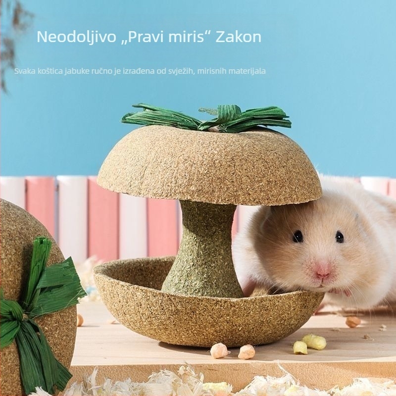 Žvačkalica od jezgre jabuke za hrčka – izdržljiva igračka i poslastica za male ljubimce