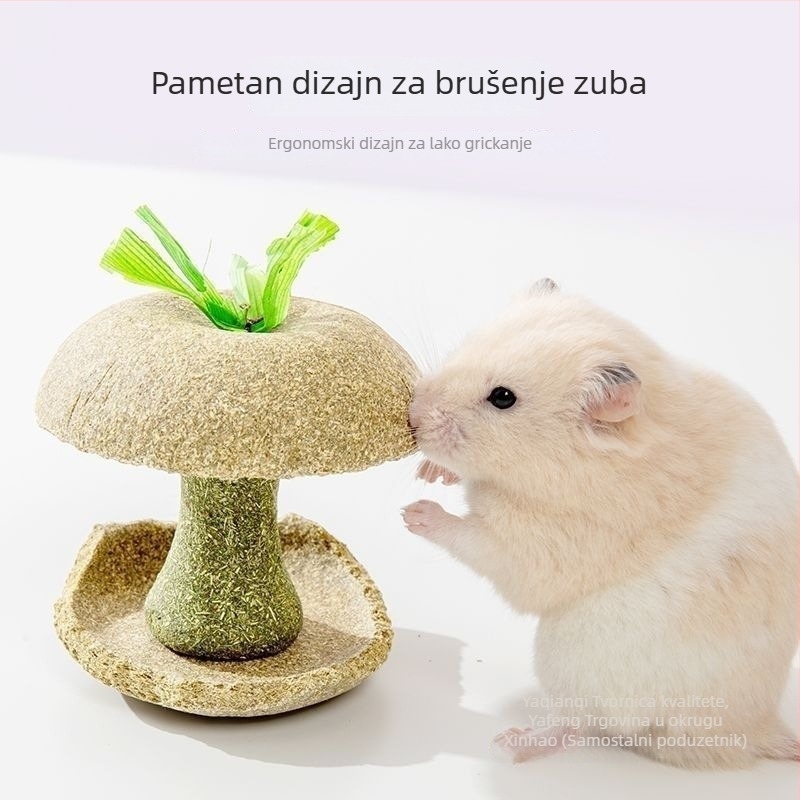 Žvačkalica od jezgre jabuke za hrčka – izdržljiva igračka i poslastica za male ljubimce
