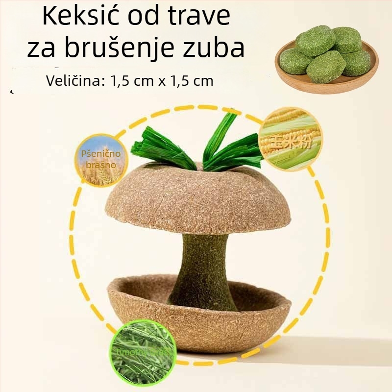 Žvačkalica od jezgre jabuke za hrčka – izdržljiva igračka i poslastica za male ljubimce