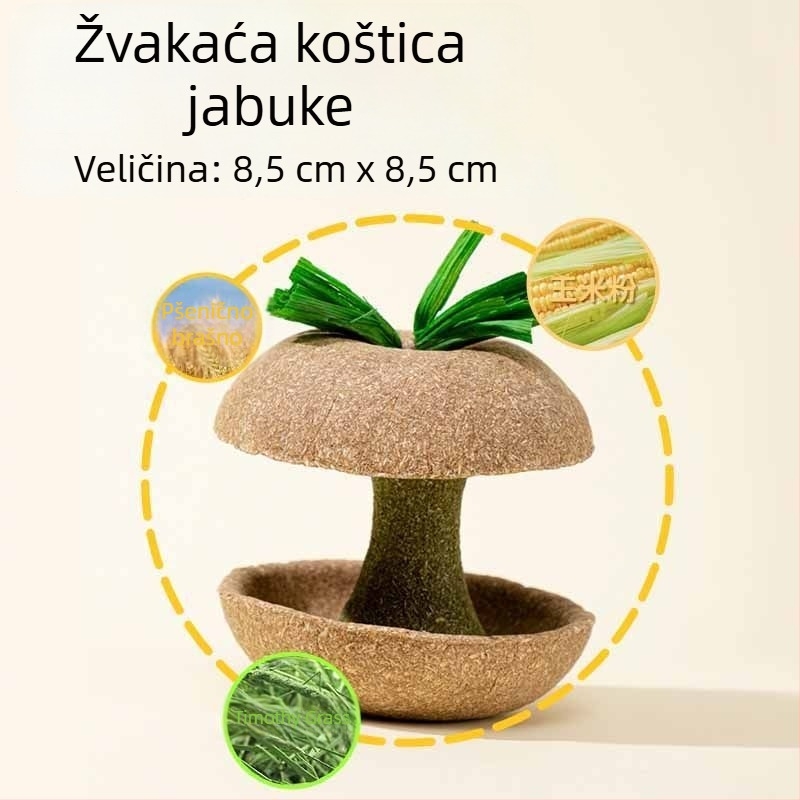 Žvačkalica od jezgre jabuke za hrčka – izdržljiva igračka i poslastica za male ljubimce