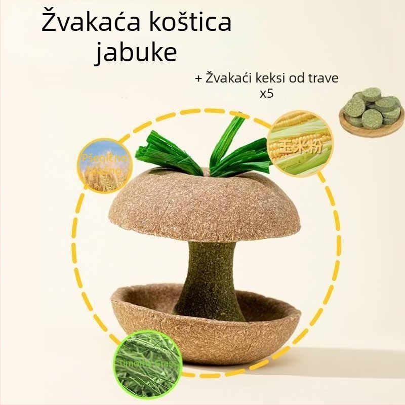 Žvačkalica od jezgre jabuke za hrčka – izdržljiva igračka i poslastica za male ljubimce