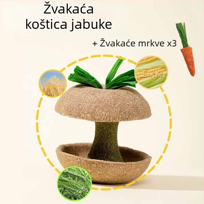 Žvačkalica od jezgre jabuke za hrčka – izdržljiva igračka i poslastica za male ljubimce