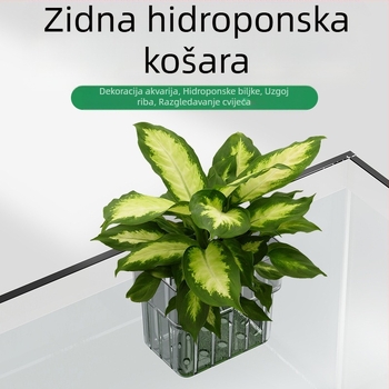 Akrilni hidroponski koš za akvarij, zidna dekoracija s vodnim biljem