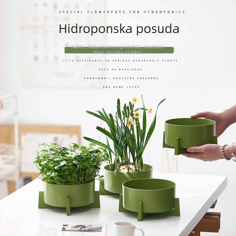 Hidroponska posuda od smole za narcise, novčano drvo, vodni ljiljani i lotos