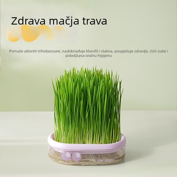 Hidroponska posuda za mačju travu bez zemlje — za mačke i prevenciju dlaka