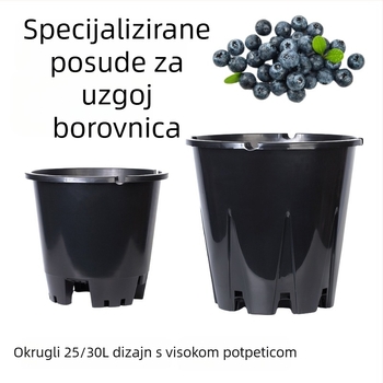 Plastična posuda za borovnice, 30 L, okrugla, prozračna, snažna i izdržljiva