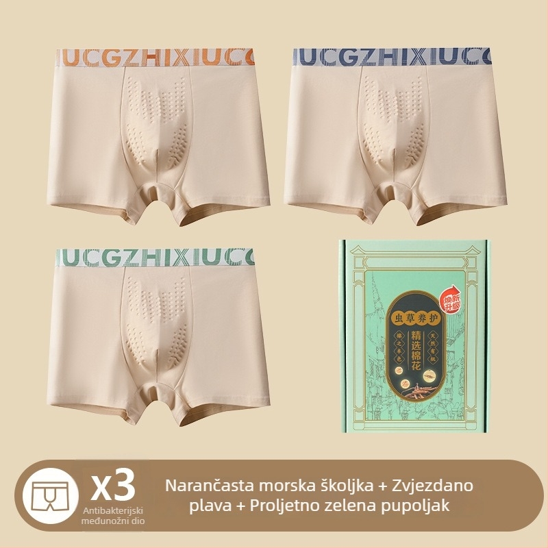 10A antibakterijske muške gaćice, prozračne, brzo sušeće, sportski stil, pamuk, njega Cordycepsa, poklon kutija