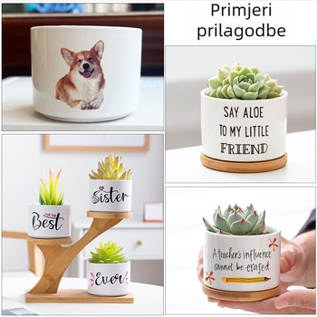 Bijela porcelanska saksija za sukulente, keramička, modernu kućnu njegu – minimalistički dizajn