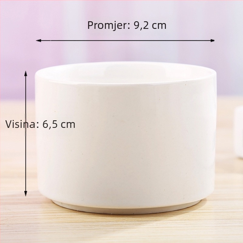 Bijela porcelanska saksija za sukulente, keramička, modernu kućnu njegu – minimalistički dizajn