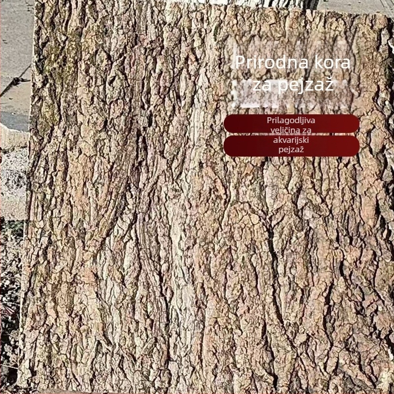 Champagne kora bonsai dekor: prava kora s gornjom pluta pločom za orhideje, dendrobije i paprati; skloništa za gmizavce i ukrasi za akvarij uz zadržavanje vode