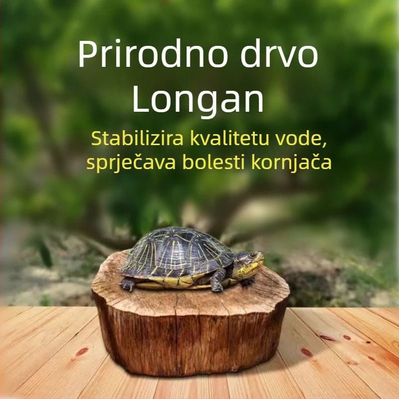 Kućni akvarij za kornjače s ekološkim vodnim biljem i ukrasnim krajolikom za male kornjače