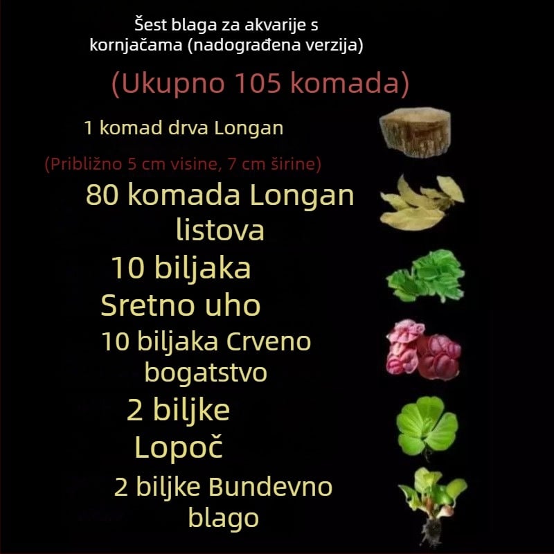 Kućni akvarij za kornjače s ekološkim vodnim biljem i ukrasnim krajolikom za male kornjače