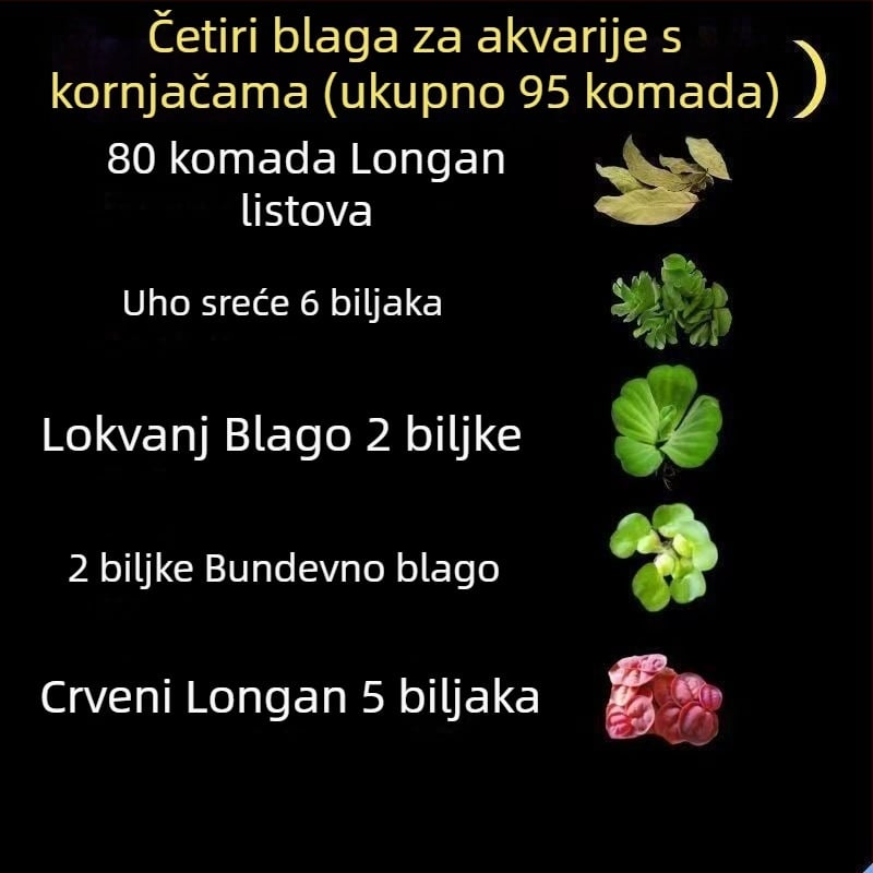 Kućni akvarij za kornjače s ekološkim vodnim biljem i ukrasnim krajolikom za male kornjače