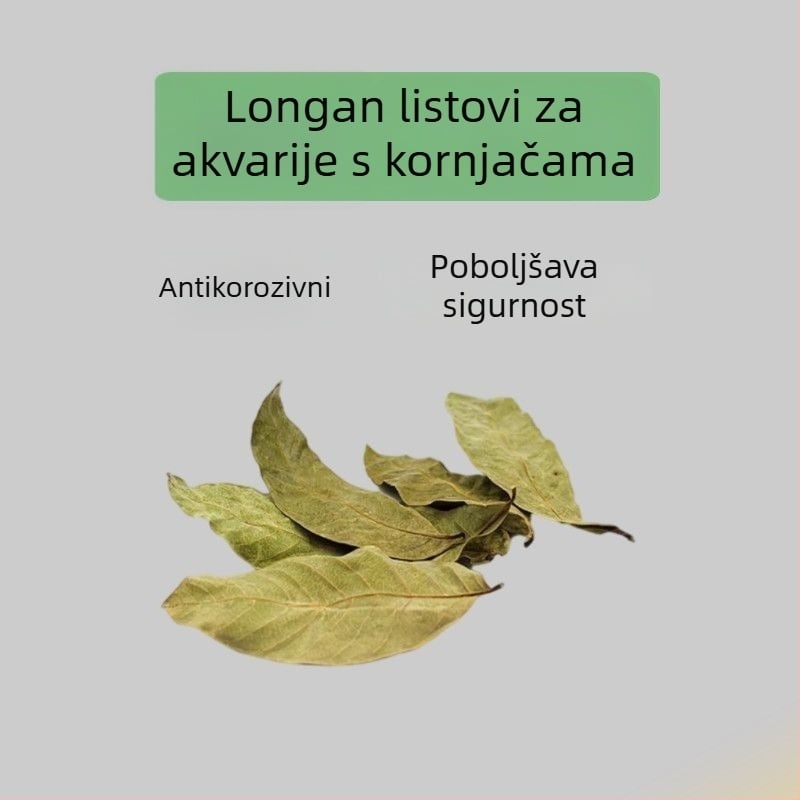 Kućni akvarij za kornjače s ekološkim vodnim biljem i ukrasnim krajolikom za male kornjače