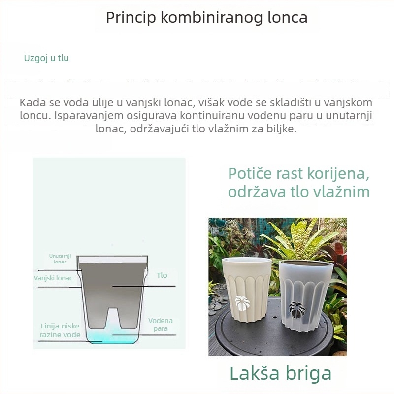 Ažurirani debeli lonac za orhideje sa stupcem zraka za kontrolu korijena – set lonaca, prozračan i vodonepropusan, za Phalaenopsis