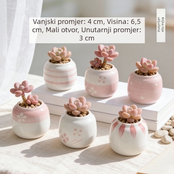 Keramička posuda za sukulente, okrugla, ručno oslikana, uredska stolna dekoracija, bonsai sa starim debalom