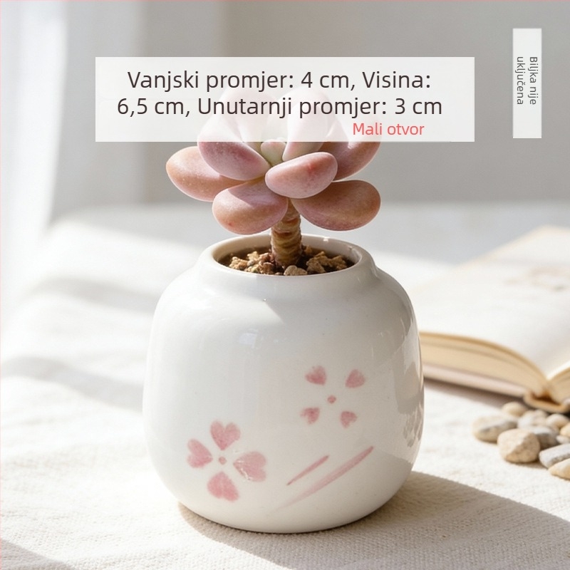 Keramička posuda za sukulente, okrugla, ručno oslikana, uredska stolna dekoracija, bonsai sa starim debalom