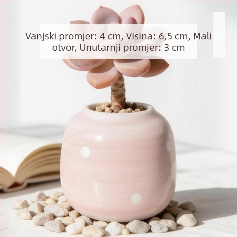 Keramička posuda za sukulente, okrugla, ručno oslikana, uredska stolna dekoracija, bonsai sa starim debalom