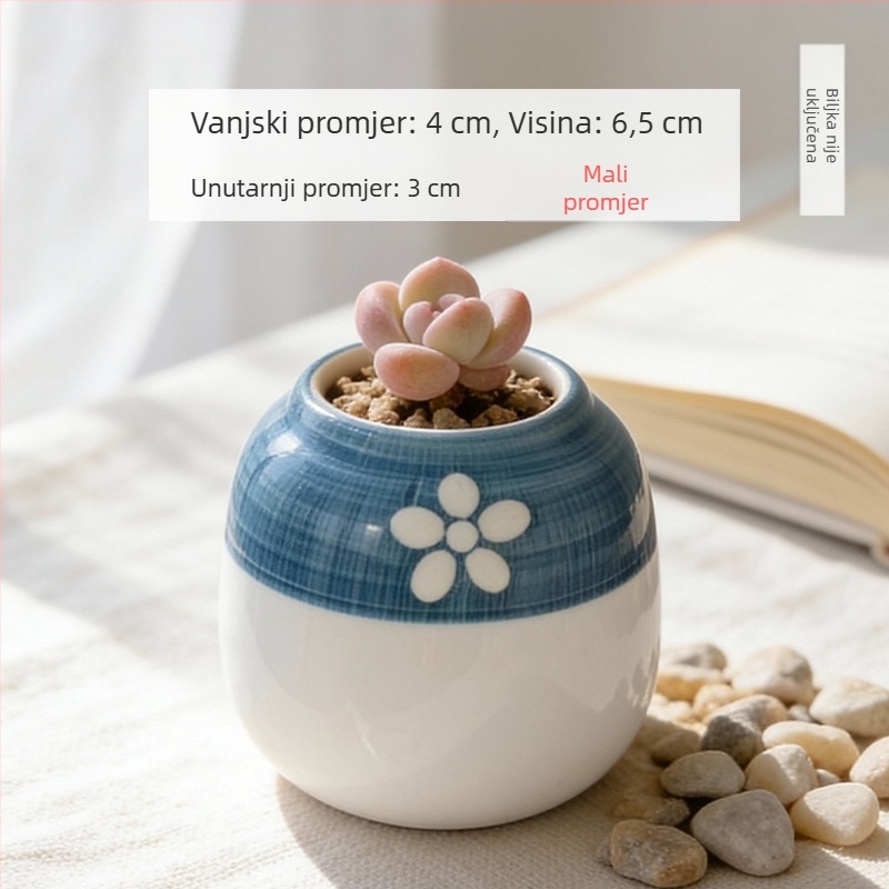 Keramička posuda za sukulente, okrugla, ručno oslikana, uredska stolna dekoracija, bonsai sa starim debalom