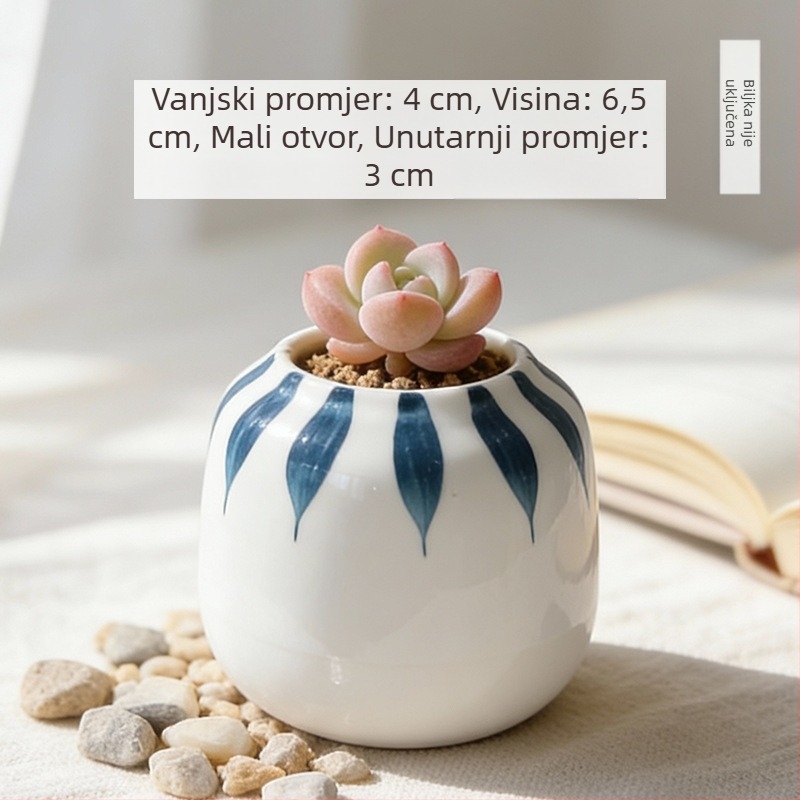 Keramička posuda za sukulente, okrugla, ručno oslikana, uredska stolna dekoracija, bonsai sa starim debalom