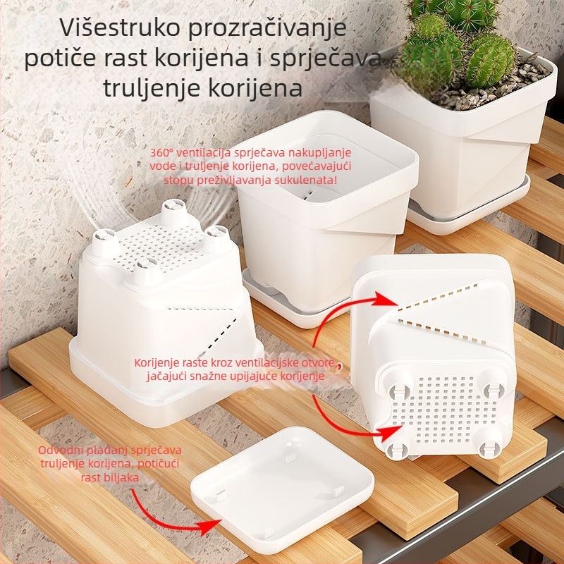 Plastična prozračna posuda za sukulente s debelim četvrtastim podmetačem, pogodna za stolni prostor ili ured, nordijski dizajn.
